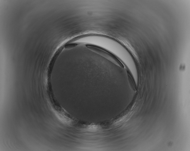 X0000097650204200802291457