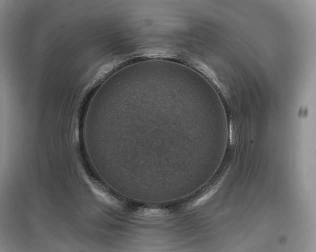 X0000097650205200802291457