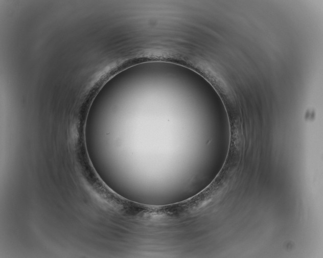 X0000097650208200802291457