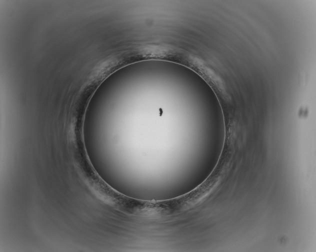 X0000097650209200802291457