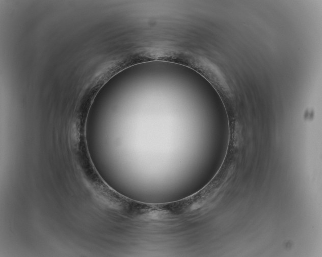 X0000097650210200802291457