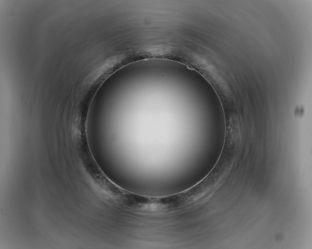 X0000097650212200802291457