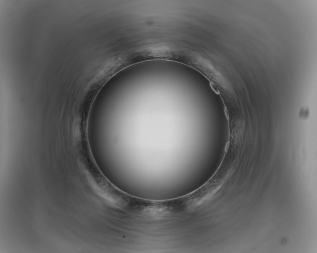 X0000097650213200802291457