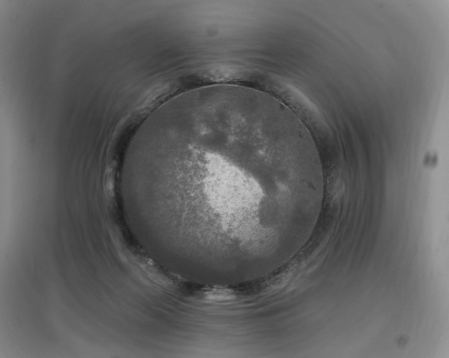 X0000097650214200802291457