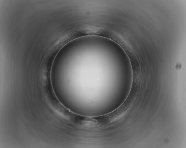 X0000097650215200802291457