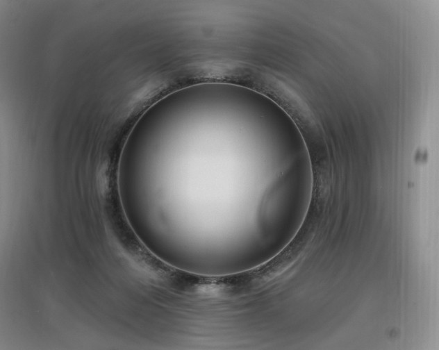 X0000097650216200802291457