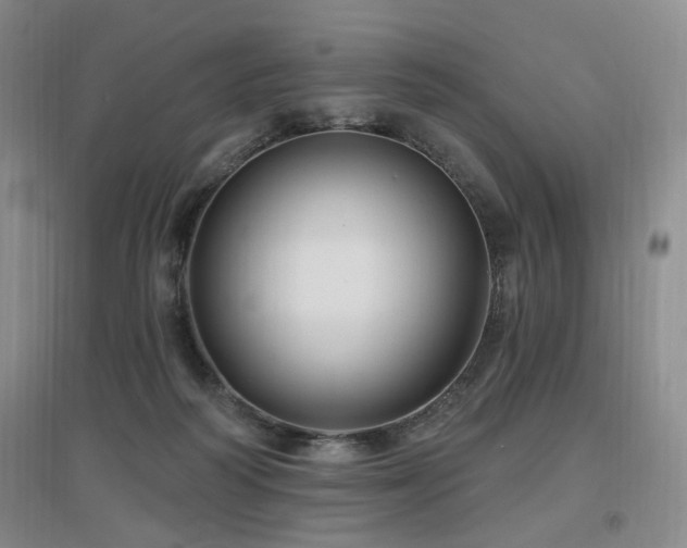 X0000097650218200802291457