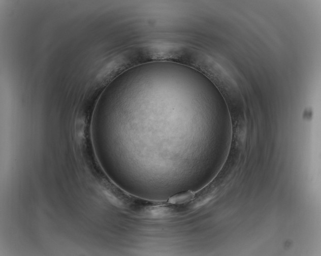 X0000097650219200802291457