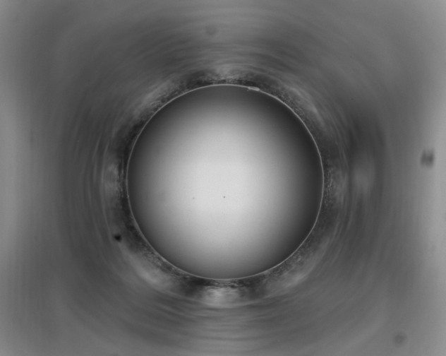 X0000097650220200802291457