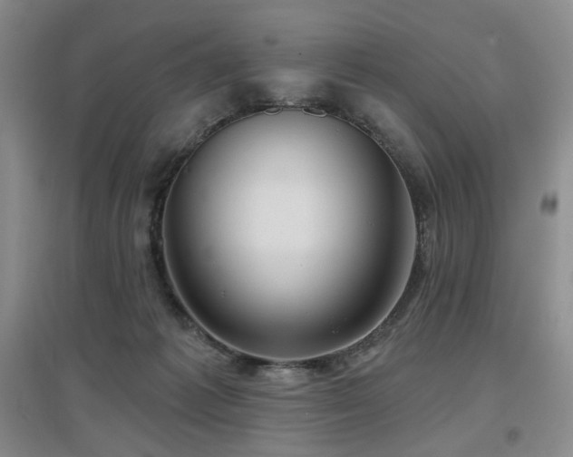 X0000097650221200802291457