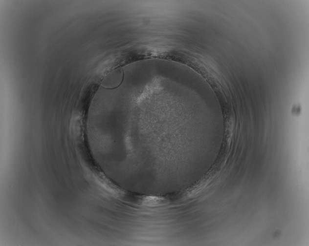 X0000097650222200802291457