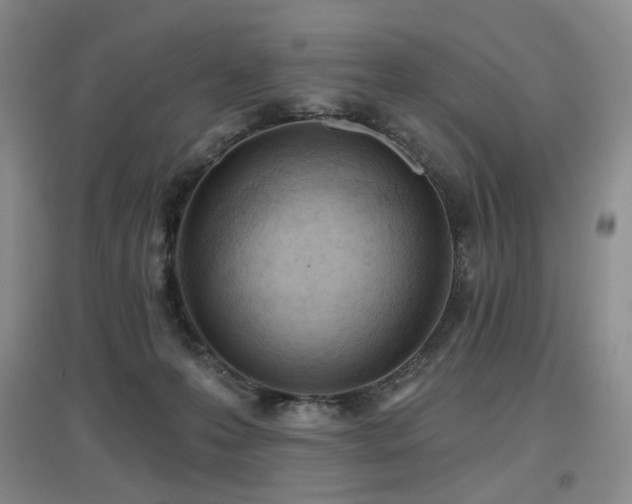 X0000097650223200802291457