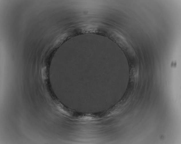 X0000097650224200802291457