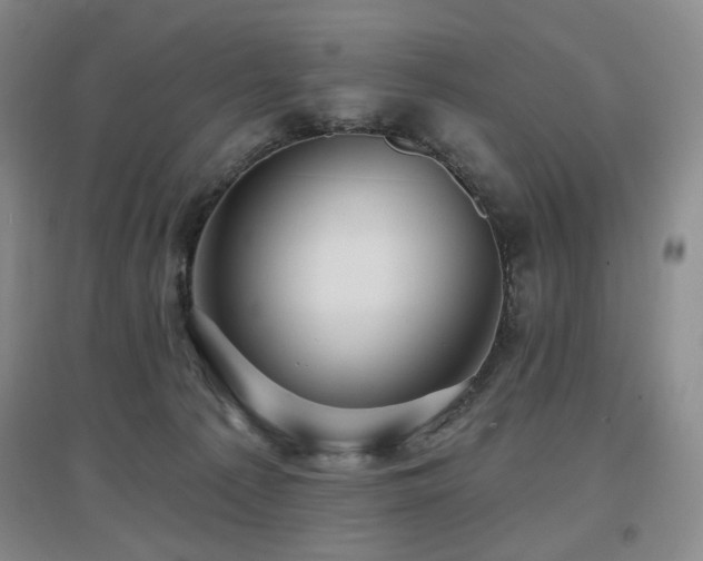 X0000097650225200802291457