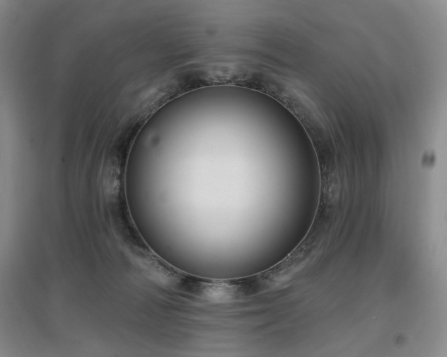 X0000097650226200802291457