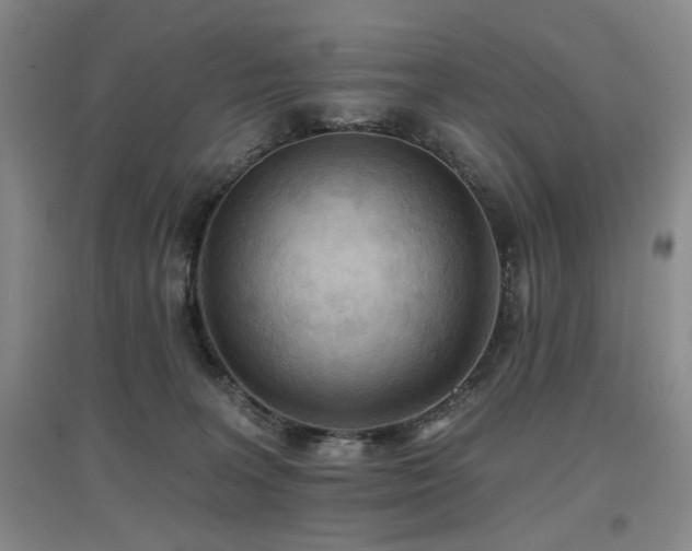 X0000097650227200802291457