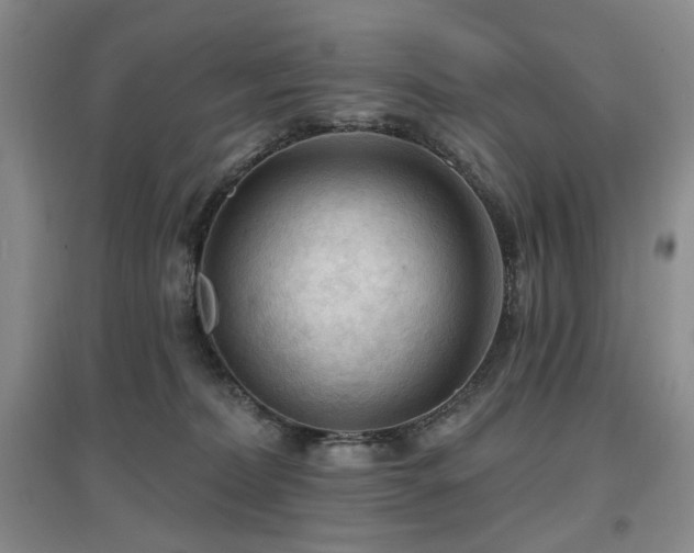 X0000097650228200802291457