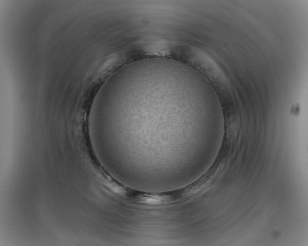 X0000097650229200802291457