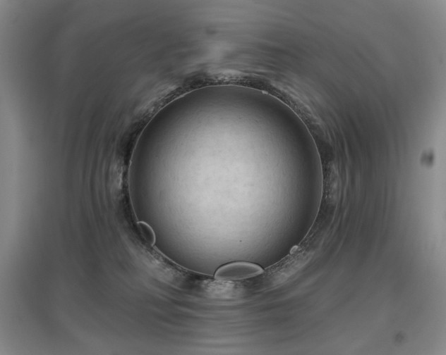 X0000097650230200802291457