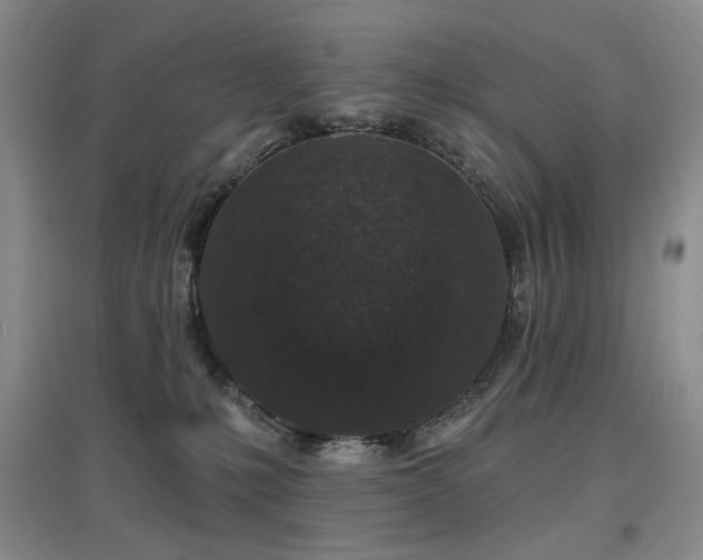 X0000097650231200802291457