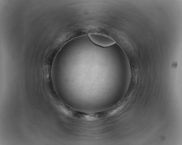 X0000097650232200802291457