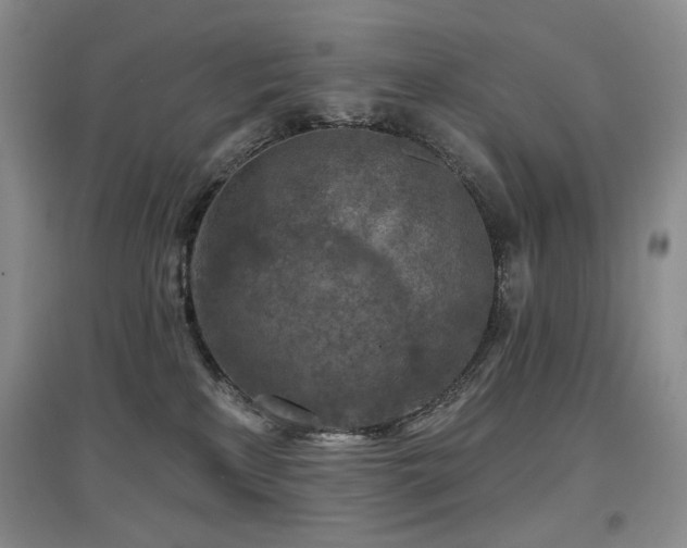 X0000097650233200802291457