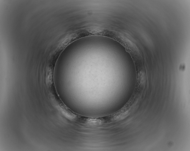 X0000097650234200802291457