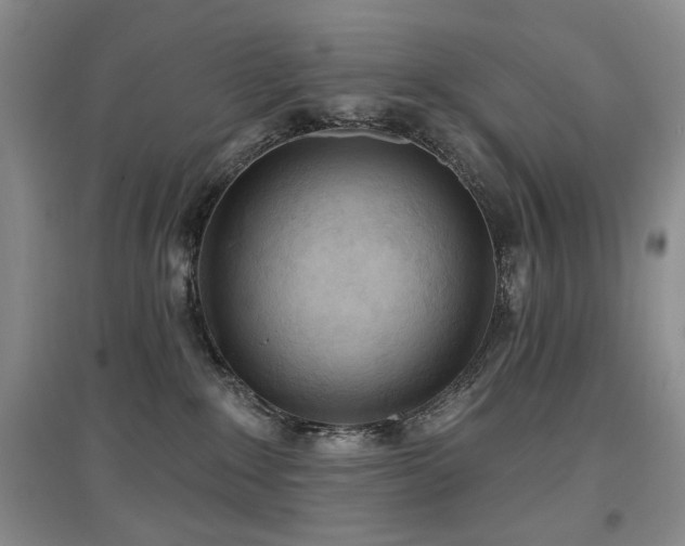 X0000097650235200802291457