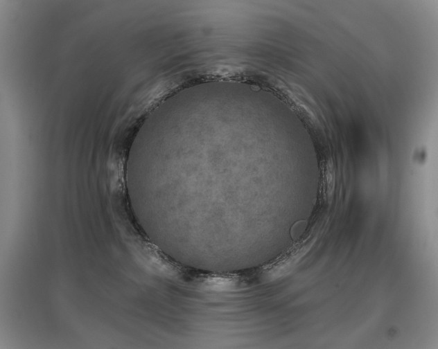 X0000097650236200802291457