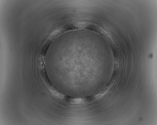 X0000097650237200802291457