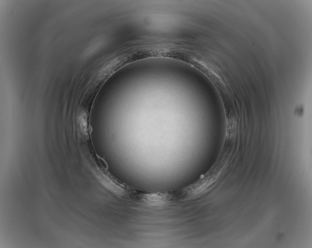 X0000097650238200802291457