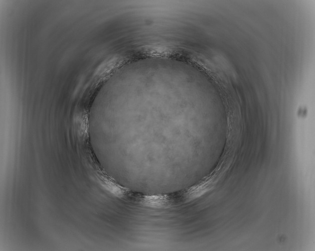 X0000097650240200802291457