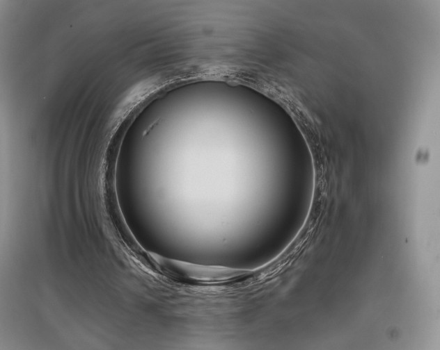 X0000097650242200802291456