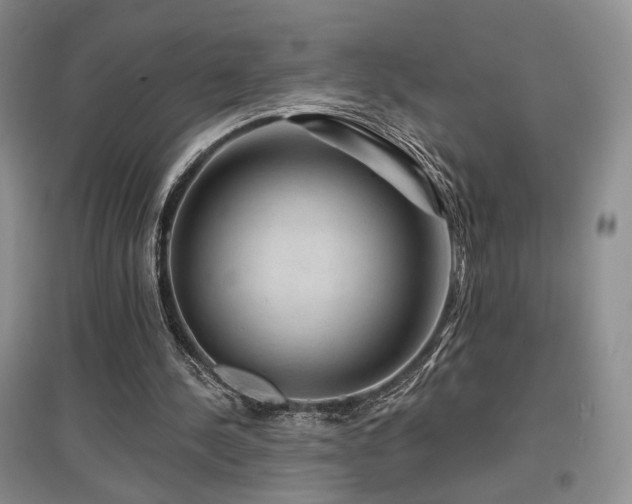 X0000097650244200802291456