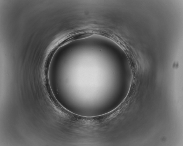 X0000097650245200802291456