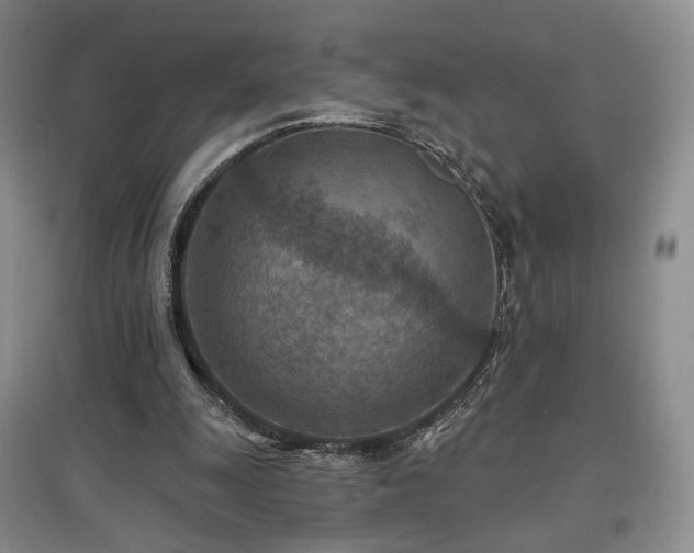 X0000097650247200802291456