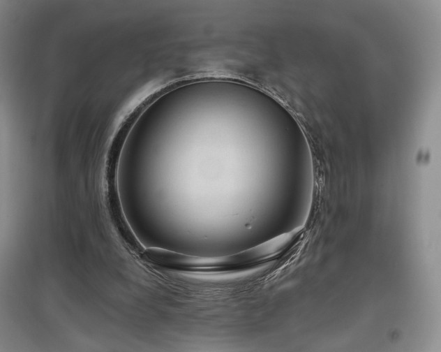 X0000097650248200802291456