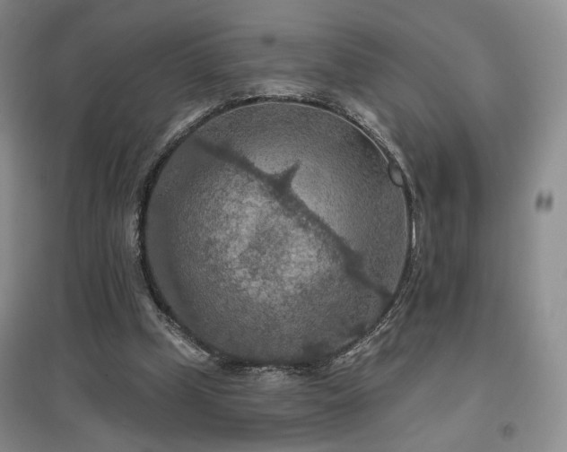 X0000097650249200802291456