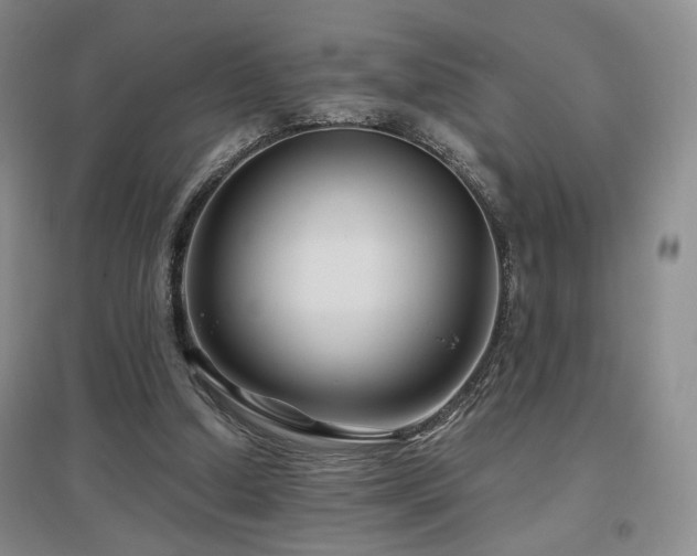 X0000097650250200802291456