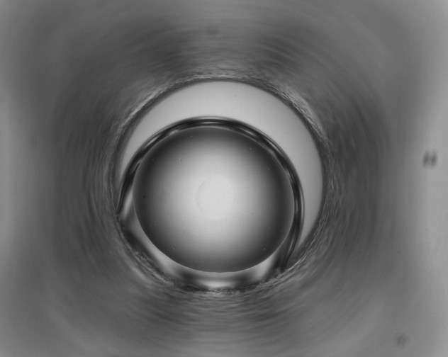 X0000097650251200802291456