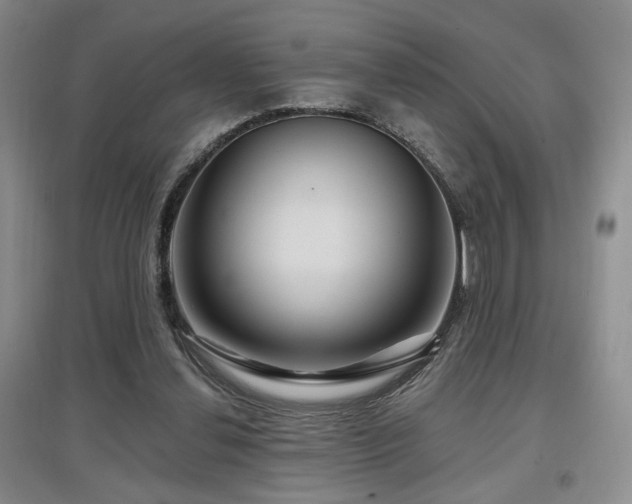 X0000097650252200802291456