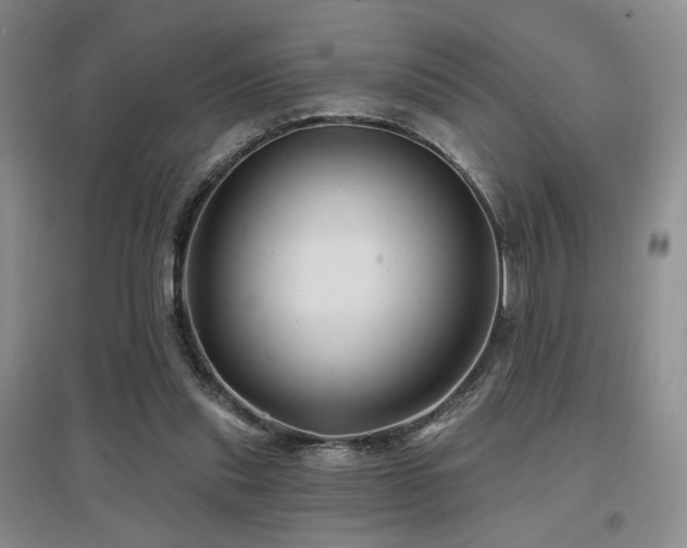 X0000097650253200802291456