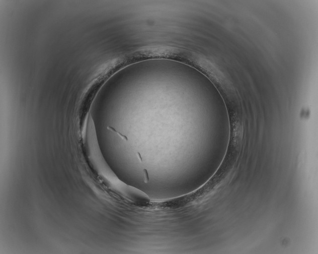 X0000097650254200802291456