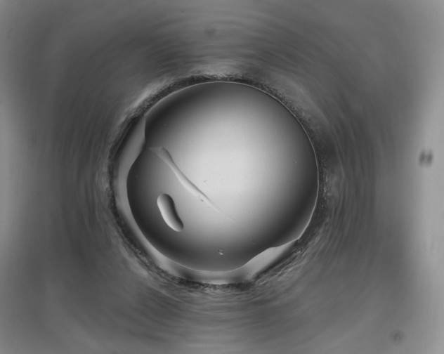 X0000097650256200802291456