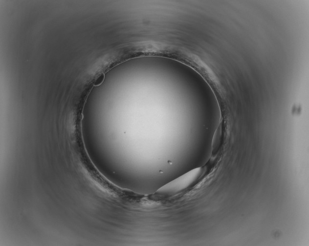 X0000097650257200802291456