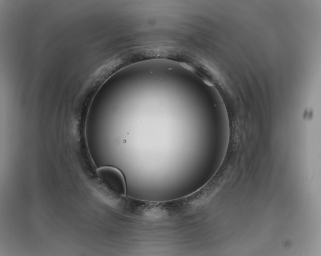 X0000097650258200802291456