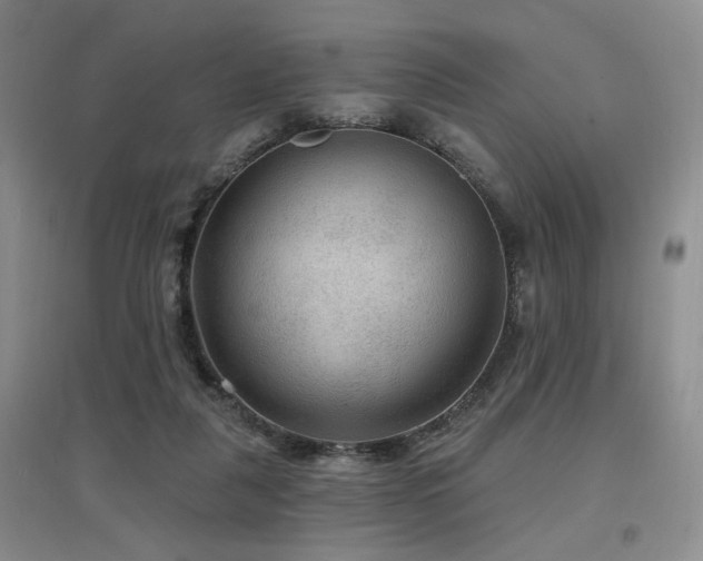 X0000097650259200802291456