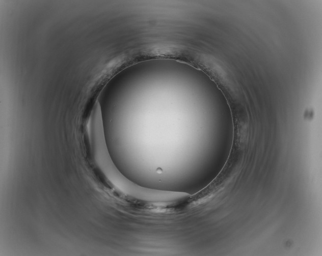 X0000097650260200802291457