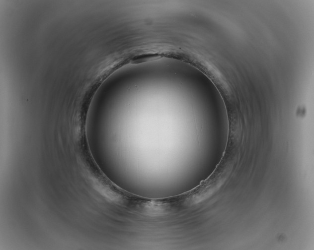 X0000097650261200802291457