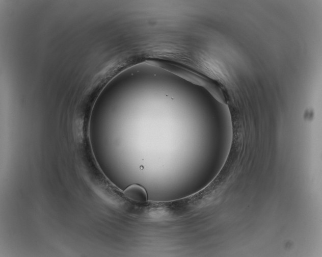 X0000097650262200802291457